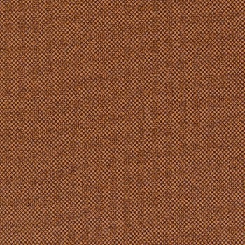 AMBER swatch