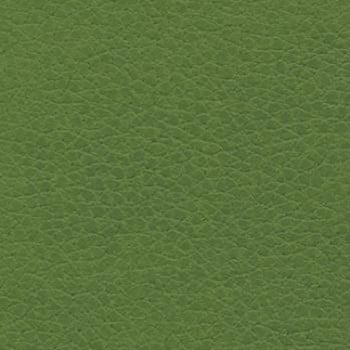 Apple Green swatch