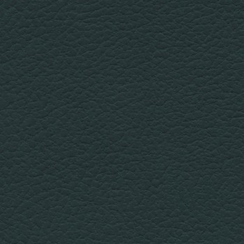 Sea Green