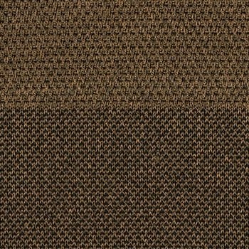 Cinnamon swatch