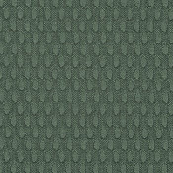 Basil swatch