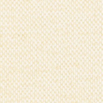 Bisque swatch