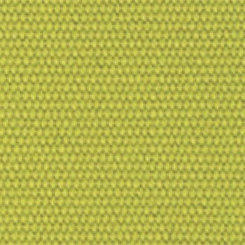 Aloe swatch