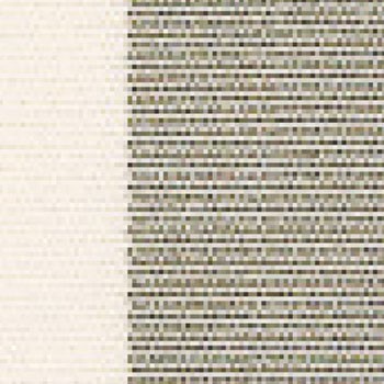 Gray/White