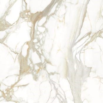 Calacatta Marble swatch