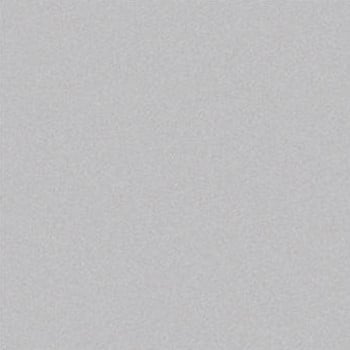 Metallic Champagne swatch