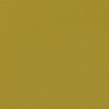 Matte Pumpkin swatch