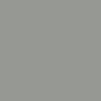 Signal Grey swatch