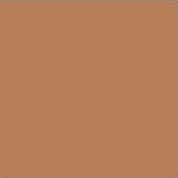 Terracotta swatch