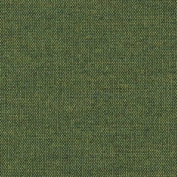 Alfalfa swatch