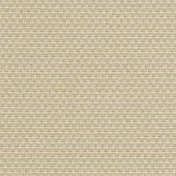 COMPASS swatch