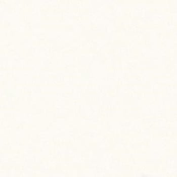 FIELD PAINTABLE swatch