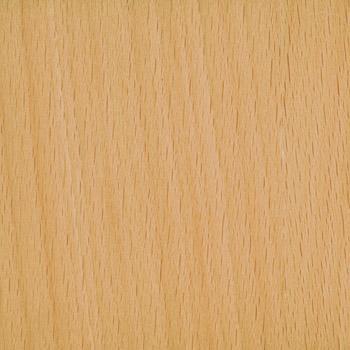 Beech swatch