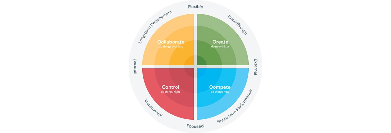 Culture Types